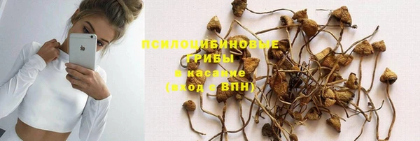 ГАЛЛЮЦИНОГЕННЫЕ ГРИБЫ Заводоуковск