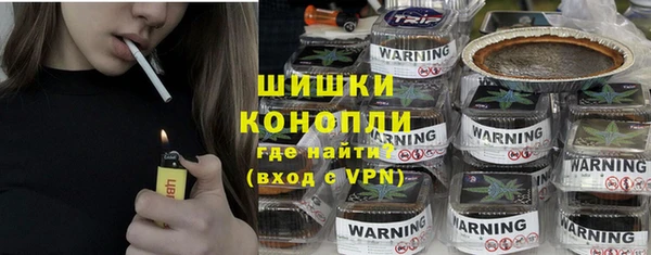 ГАЛЛЮЦИНОГЕННЫЕ ГРИБЫ Заводоуковск