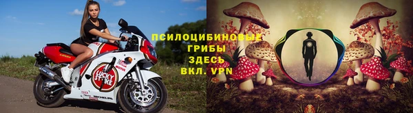 ГАЛЛЮЦИНОГЕННЫЕ ГРИБЫ Заводоуковск