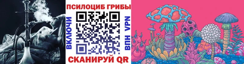 Псилоцибиновые грибы Psilocybe  Купить  Избербаш 